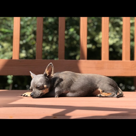 Meet your Posher, Blue Betsey Boutique - Picture 3 of 5